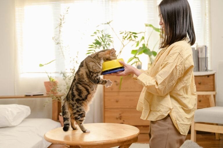 A woman in a beige blouse teaches a curious tabby cat to eat, presenting a yellow feeding bowl to the cat standing on a wooden coffee table in a bright, cozy living room