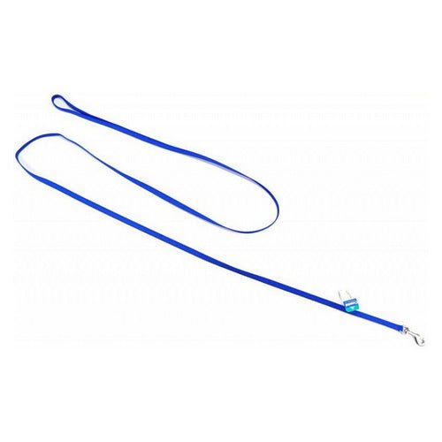 Blue Nylon Lead 6' Long x 3/8" Wide