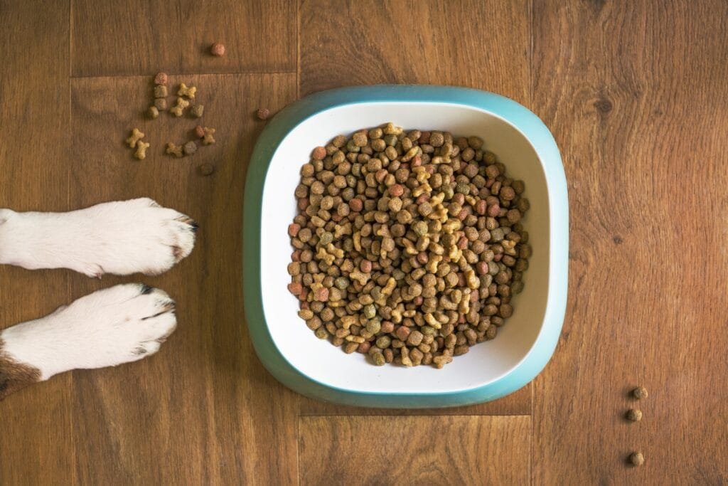 dog food kibble
