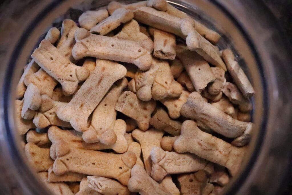 dog treats bone biscuit