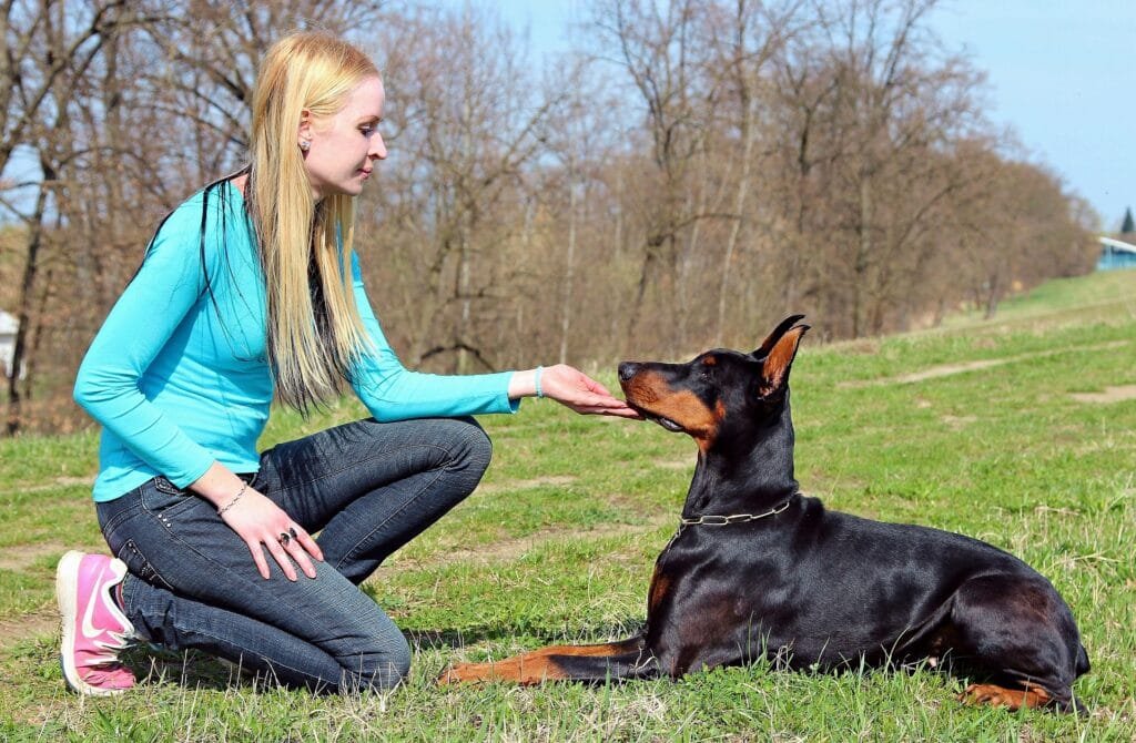 A young woman sits in a green field gently touching her Doberman’s jaw, symbolizing trusted pet care tips and the bond between dogs and owners.